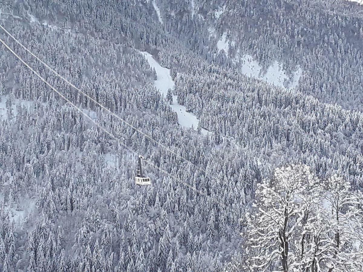 Apartamento L'Aigle Royal Vaujany Exterior foto
